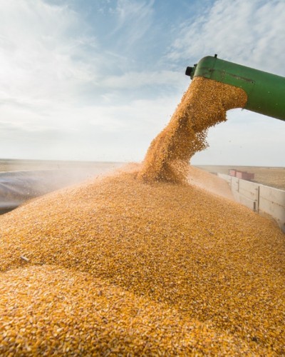 Indústria Agrícola e de Agropecuária